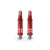 Car Suspension