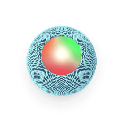 Voice Assistant