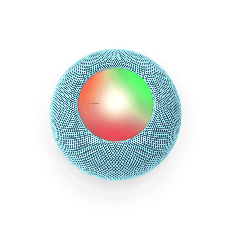 Voice Assistant