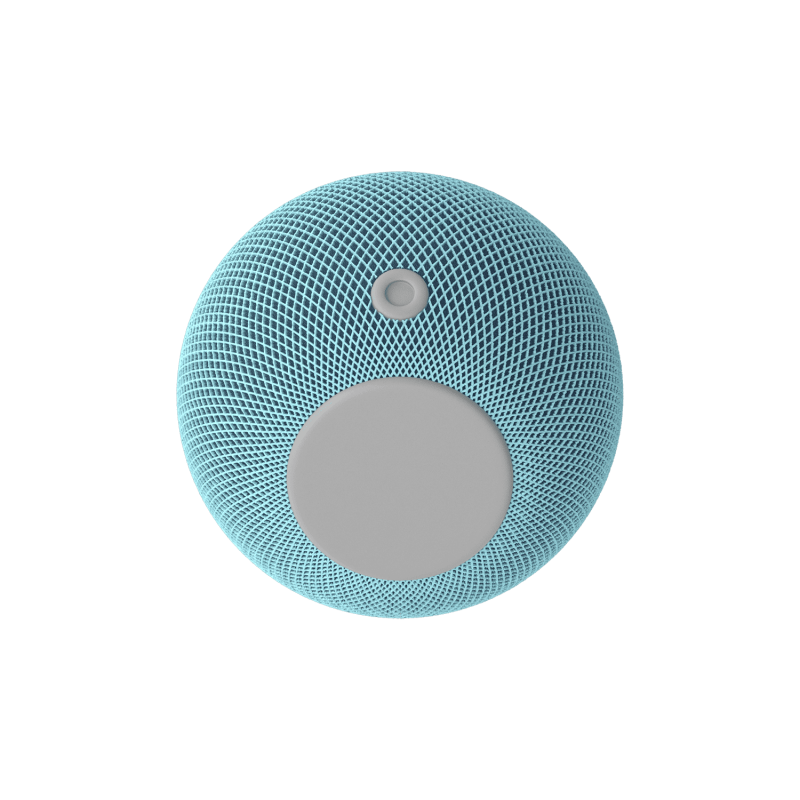 Voice Assistant